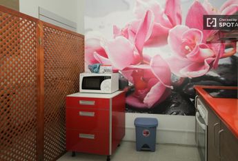 granada, Andalusia 18010