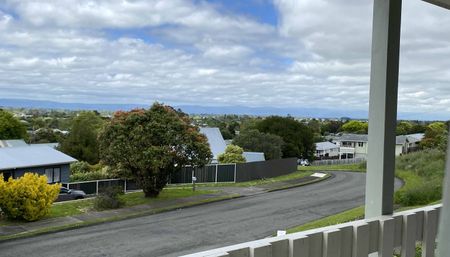 3 Bedrooms in Feilding - Photo 4