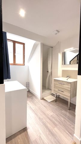 Location Appartement 1 pièce 17m² NANTES 44000 - Photo 2