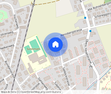 Singlewohnung in begrünter Wohnlage sucht Sie! - Photo 1