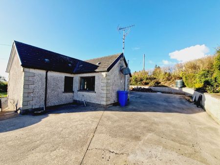 232 Whitebridge Road, Carrickmore, Omagh BT79 9HH - Photo 5