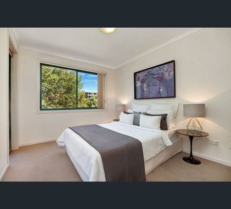 17302/177-219 Mitchell Road, Erskineville, NSW 2043 - Photo 4