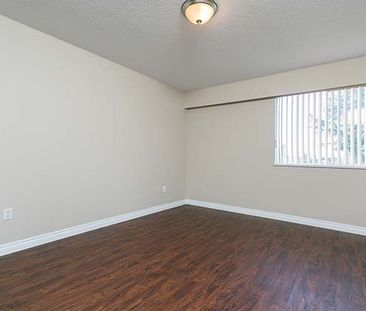 The Westport Apartments - 1 Bedroom - Photo 5