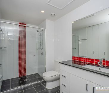 241/1 Mouat Street, Lyneham ACT 2602 - Apartment For Rent | Domain - Photo 4