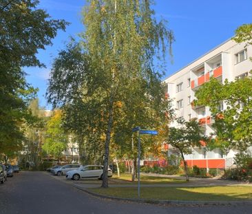 Familienfreundliches Paradies in Halles beliebter Südstadt - Foto 2