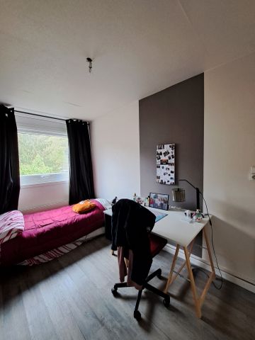 F3 Rue de la Côte Nancy - Photo 3