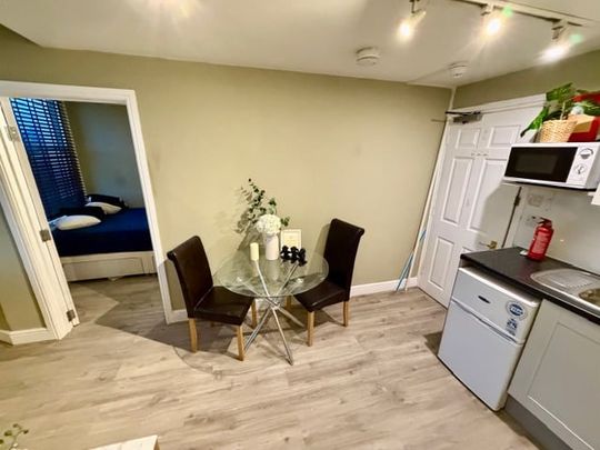 Studio Flat, Lena Gardens, W6 - Photo 1