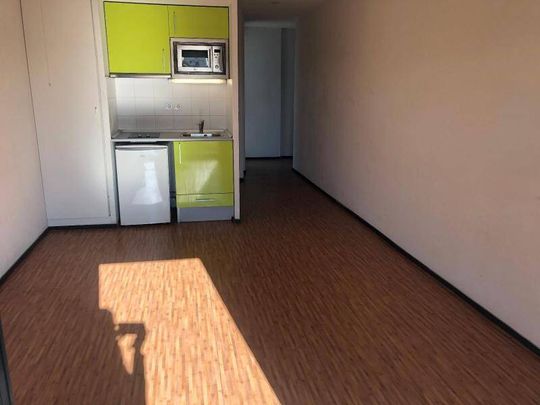 Location appartement 1 pièce 26.2 m² à Montpellier (34000) - Photo 1