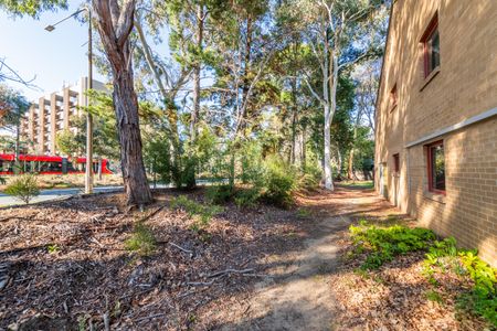 Cosy Ground Floor Lyneham Apartment - Photo 2