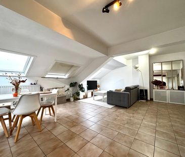 bluets 36a - Photo 2