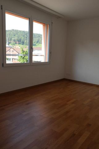 moderne Wohnung im Turbenthal - Foto 4