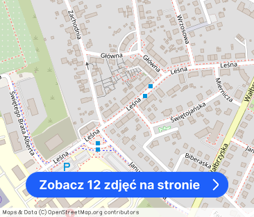 Do wynajęcia mieszkanie z ogródkiem - Leśna! - Zdjęcie 1