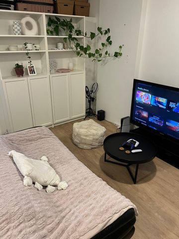 Surry Hills - Photo 2