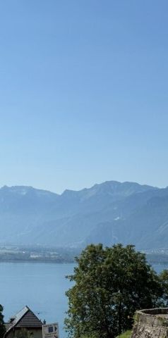 Magnifique 2.5 pièces au 1er étage - Foto 1