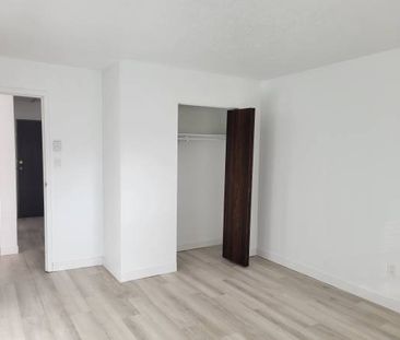 1 bed 1 bath - Photo 3