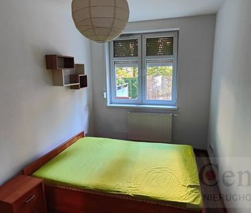 Opole, Kolonia Gosławicka Mieszkanie na wynajem - Zdjęcie 6