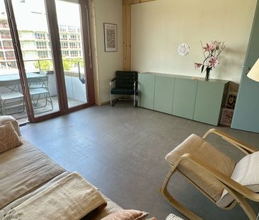 31/2 ROOM APARTMENT IN BASEL - ST. JOHANN, FURNISHED, TEMPORARY - Foto 3