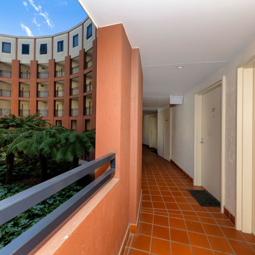 One Bedroom Apartment - In the Heart of the City! - Photo 1
