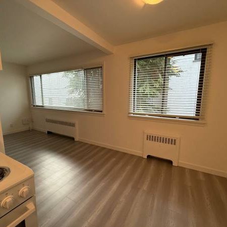 RENOVATED 1 BED/1 BATH APT AT W 13TH & GRANVILLE - Photo 3