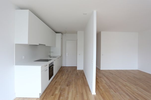 Moderne 2.5-Zimmerwohnung Nähe der Langen Erlen - Photo 1