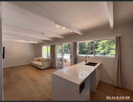 Renovated Delight! - Photo 4