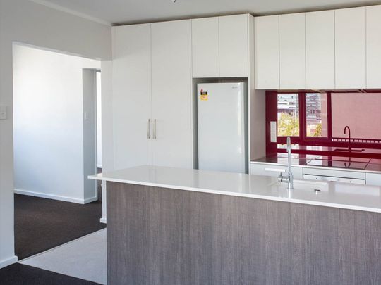 Spacious 2 Bedroom, Full Size Kitchen in the Heart of Parnell - Photo 1