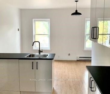 For Lease - 436 Queen Street Unit# 1, Toronto, Ontario - Photo 4