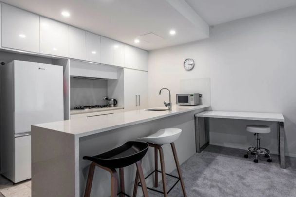 Fully Furnished Executive Apartment with Lake Views - Photo 1