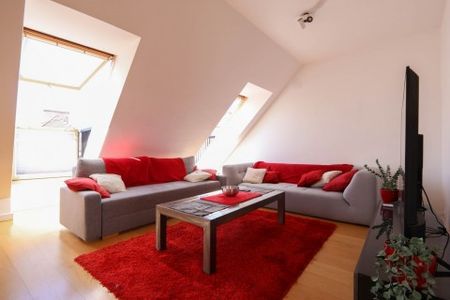 Székely Mihály utca - Photo 5