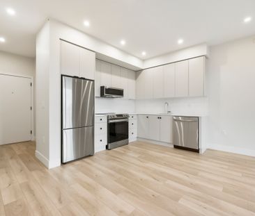 YORK 1 - 301A - YR301A - Photo 2