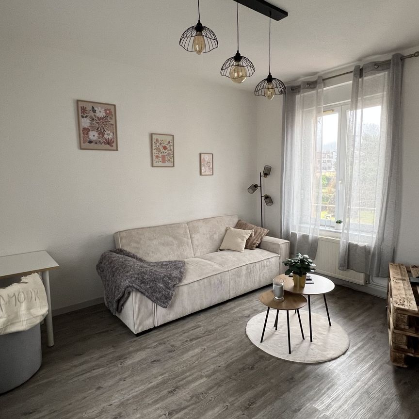 Location Appartement 2 pièces 45m² REMIREMONT 88200 - Photo 1