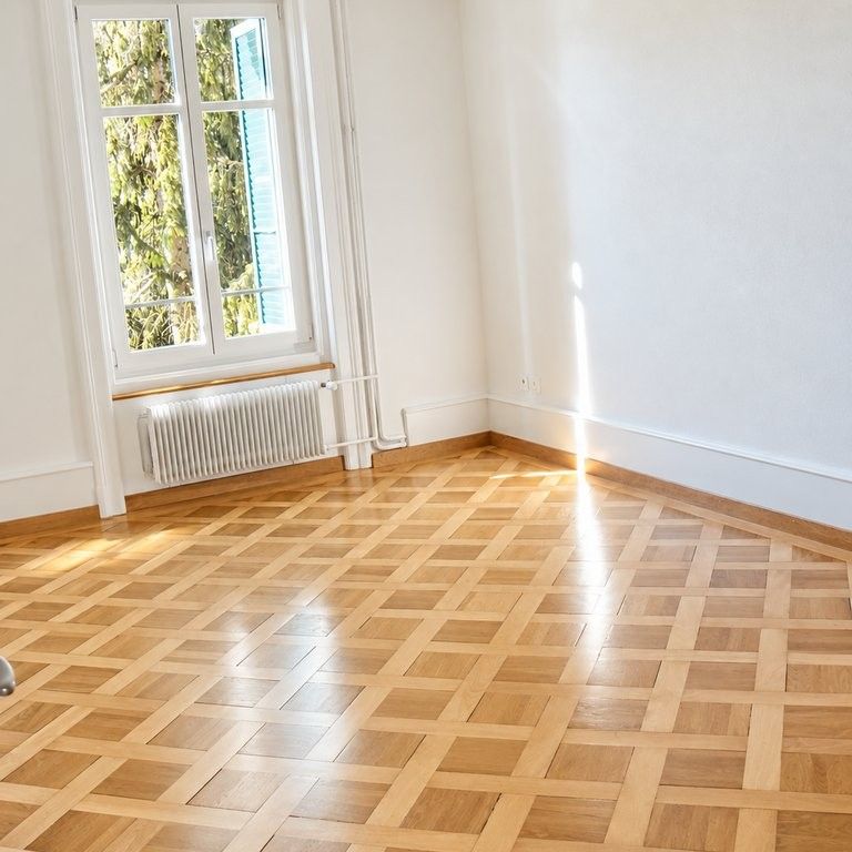 Grosszügige Wohnung am Egelsee - Foto 1