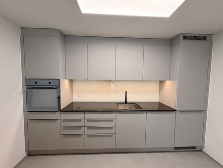 Erstvermietung 2026 Moderne 3.5-Zimmerwohnung mit hochwertigem Ausbaustandard - Photo 4