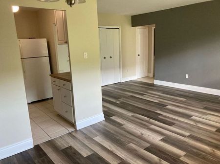 apartments at 45 Paisley Boulevard W - Photo 2