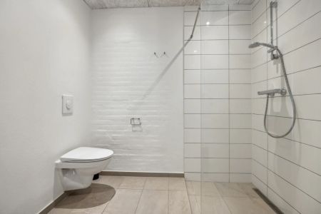 Gennemrenoveret 3-værelses lejlighed på Torvegade i Nørresundby - Photo 4