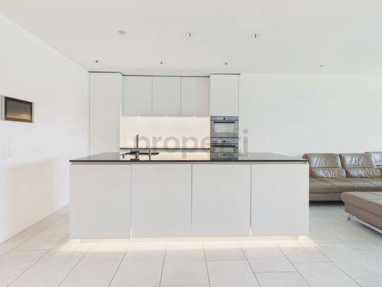 Urban elegance and exclusive living in the sought-after Hamberger Park - Photo 1