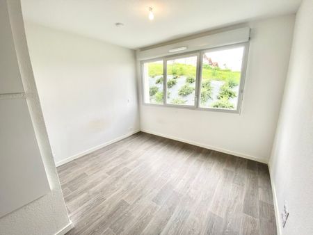 Location Appartement 1 pièce 19m² AUZEVILLE TOLOSANE 31320 - Photo 2