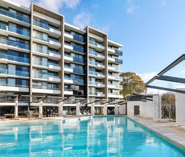 155/7 Irving Street, Phillip ACT 2606 - Apartment For Rent | Domain - Photo 2