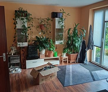 3 Zimmer Erdgeschoss Wohnung mit Garage in Marklohe zu vermieten - Foto 4