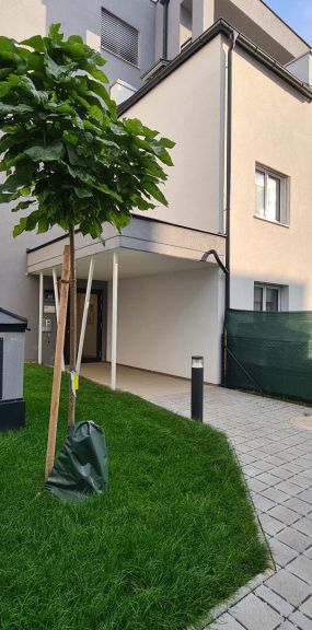 | BALKON | 2 ZIMMER | HAUS 2 | VERFÜGBAR AB SOFORT - Foto 1