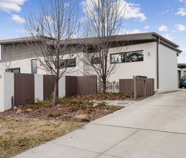 1/30 Aurora Close, Mawson ACT 2607 - House For Rent | Domain - Photo 2