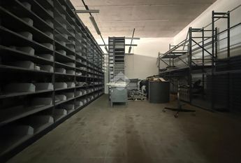 Capannone in affitto