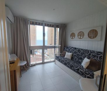 Benidorm Levante , Summer and Winter Let - Photo 1