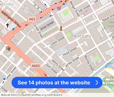 Apt 2.15 :: Ice Plant - Photo 1