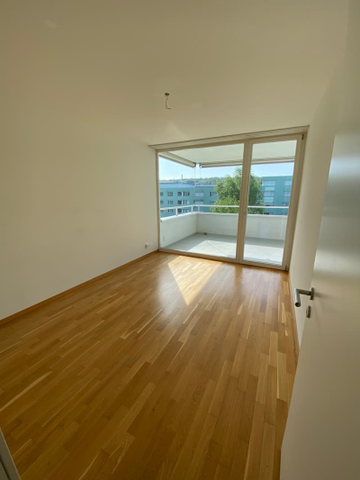 "Grosse 5.5-Zimmer-Wohnung im Römergarten in Kaiseraugst" - Foto 5