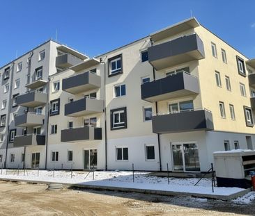 ERSTBEZUG „ein viertel grün“ in Wiener Neustadt - moderne 2 Zimmerw... - Photo 6