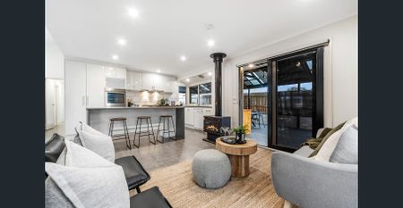 Family Entertainer in Carrum Downs - Photo 4