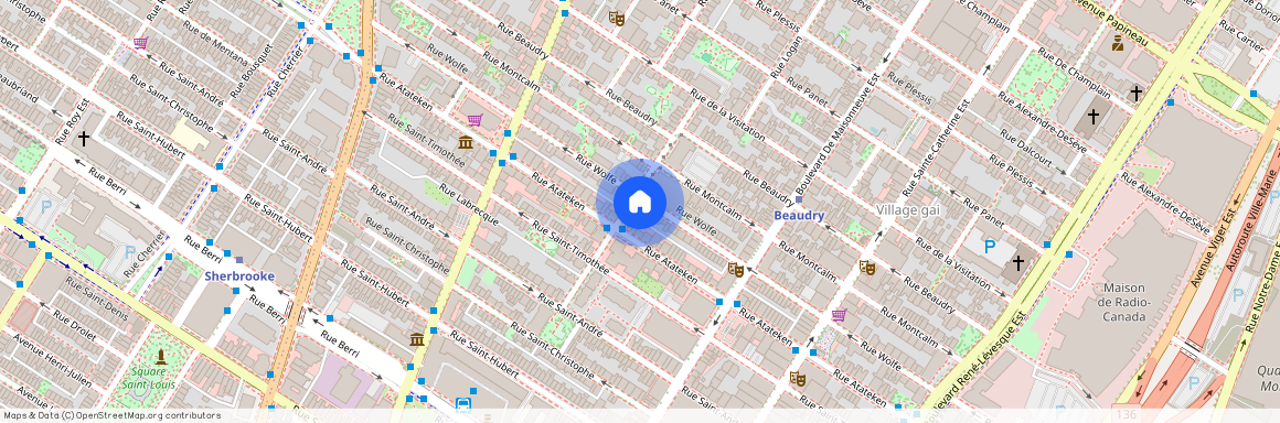 1732 Rue Wolfe, Montréal (Ville-Marie), H2L3J6