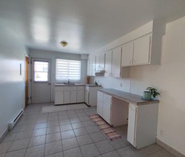 11230 Av. Arthur-Buies, H1G 4N6, H1G 4N6, Montréal - Photo 3