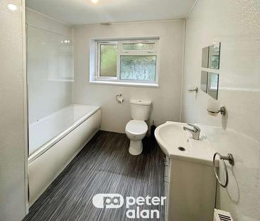 Diana Street, Troedyrhiw, Merthyr Tydfil, CF48 - Photo 6